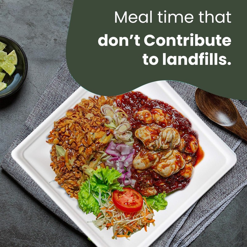 FPN Disposable Plates Square for Party Eco-Friendly Microwave-safe : 6"|8"|10" gallery