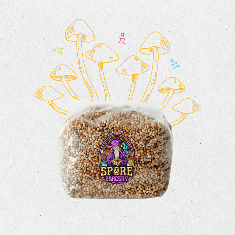 6 Pack | 3lb Milo Sorghum Grain Spawn gallery