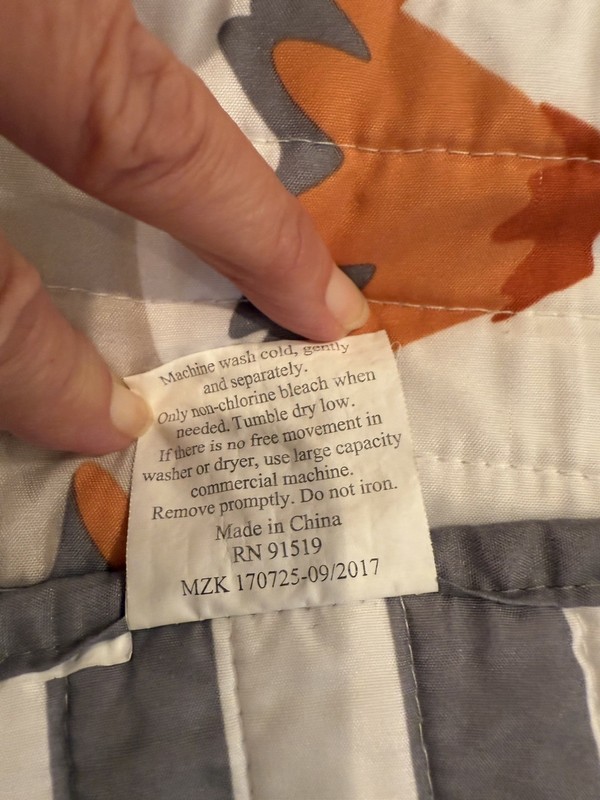 MiZone Kid’s Dinosaur/Reversible Full/Queen Comforter & 2 Shams Set gallery