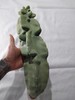 Totem Pole Cactus Large Cutting 17" 4.5 Lbs *EXACT SPECIMEN* gallery