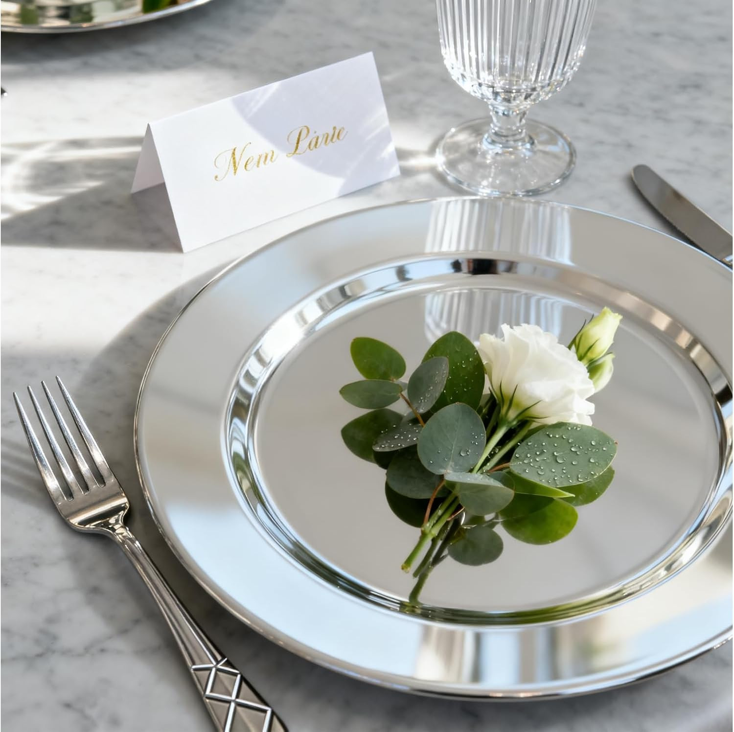 6 Pack 13'' Silver Dinner Charger Plates Set, Reusable Stainless Steel round Pla gallery
