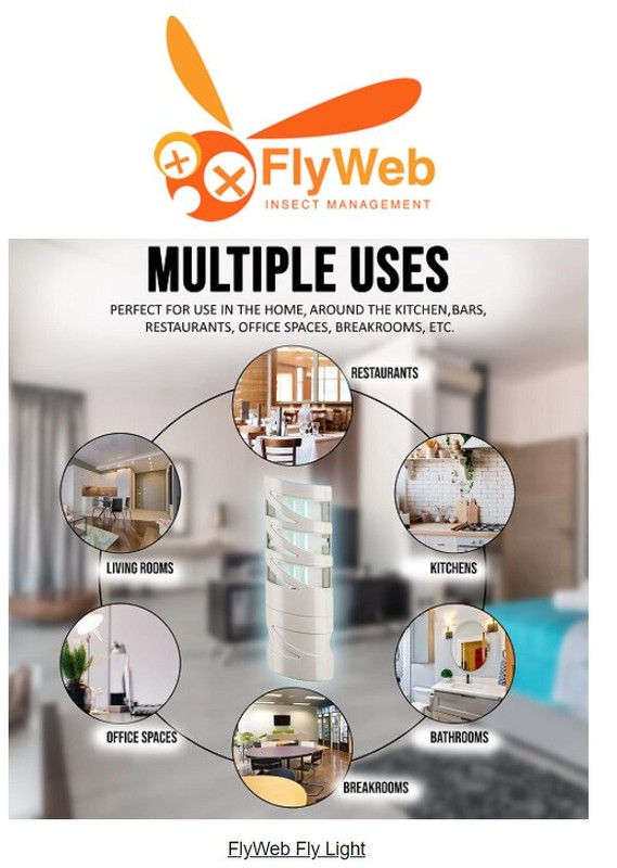 1 FlyWeb Fly Light Trap Fly Web Control Mosquitos Flies Gnats moths fruit flies gallery