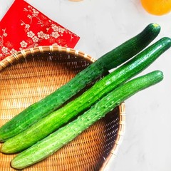 China Jade Burpless Cucumber Seeds – For 2026 Planting Delicious Long Dark Green