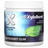 Xylitol Gum, Peppermint, 100 Pieces, 5.29 oz (150 g) gallery