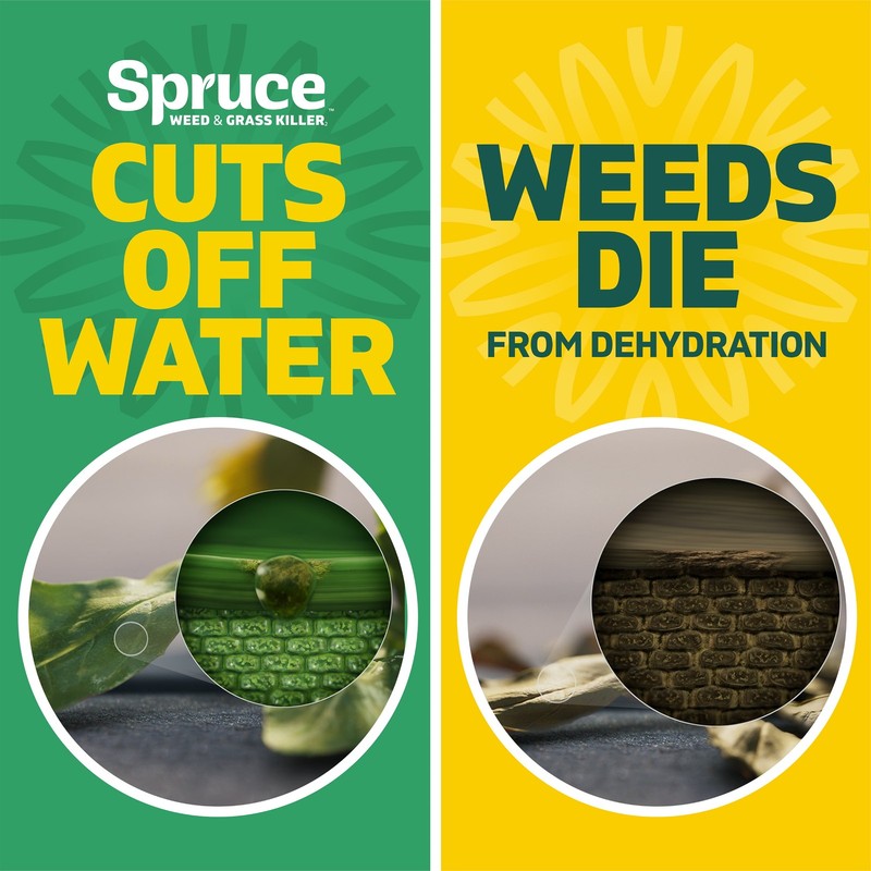 Spruce 24 oz Weed & Grass Killer Trigger Spray - Safe for People, Pets & Bees gallery