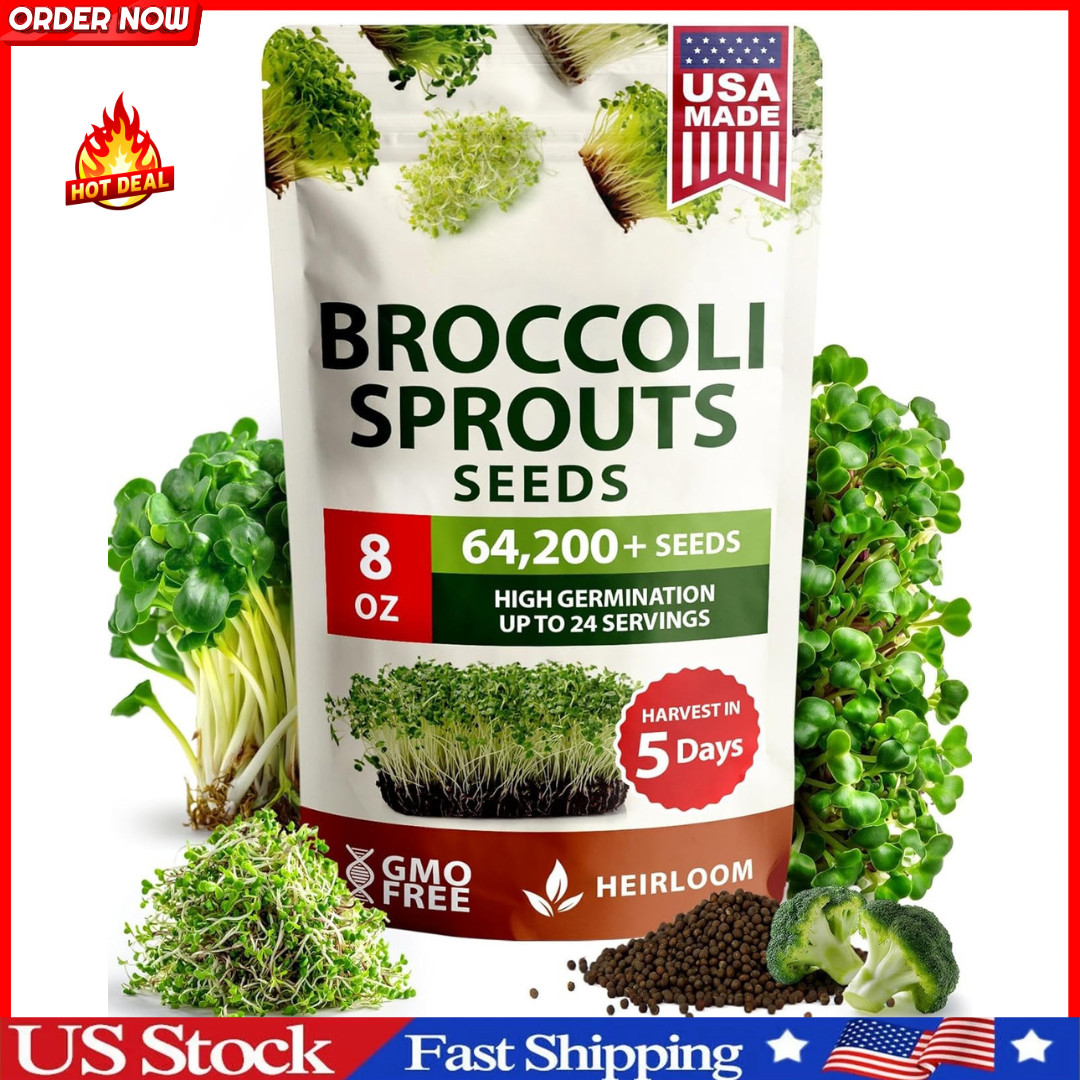 Broccoli Sprouting & Microgreens Seeds - 64,200 Non-GMO Heirloom gallery