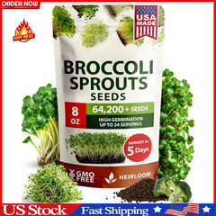 Broccoli Sprouting & Microgreens Seeds – 64,200 Non-GMO Heirloom