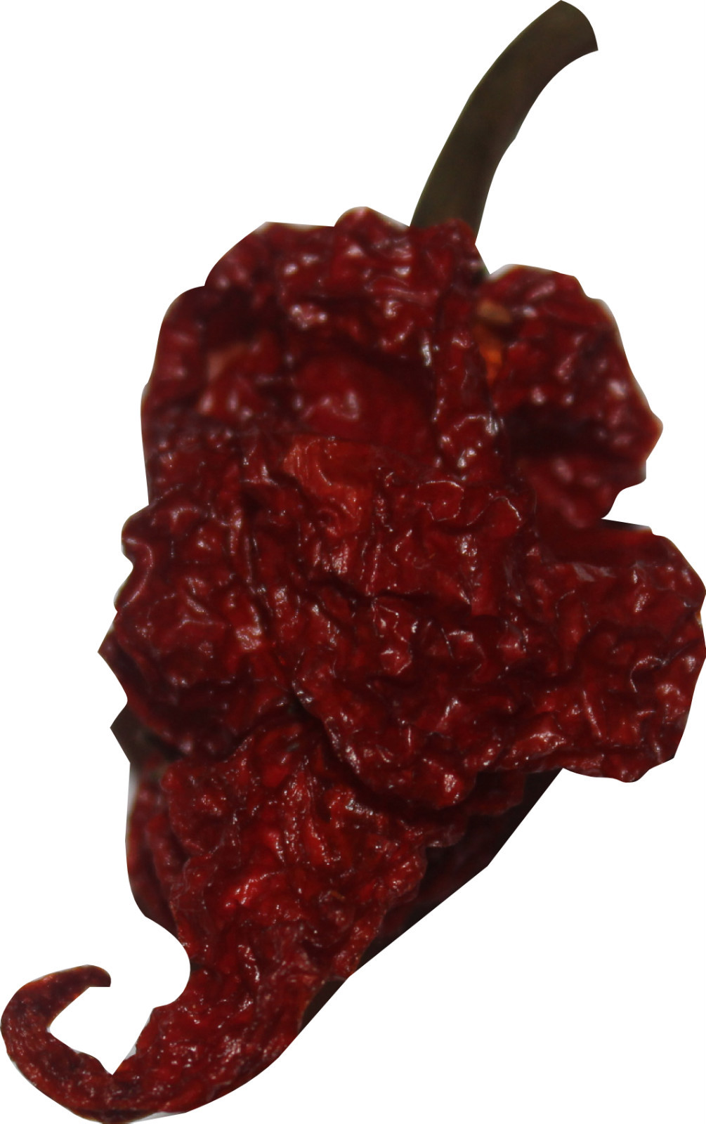 Scorpion Chili Pepper Powder Hot Spice Trinidad Moruga Red Tail Seasoning 2 oz. gallery