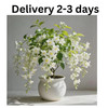 Weeping Jasmine Climbing Seeds 100+ – Garden Balcony Flower Vine gallery