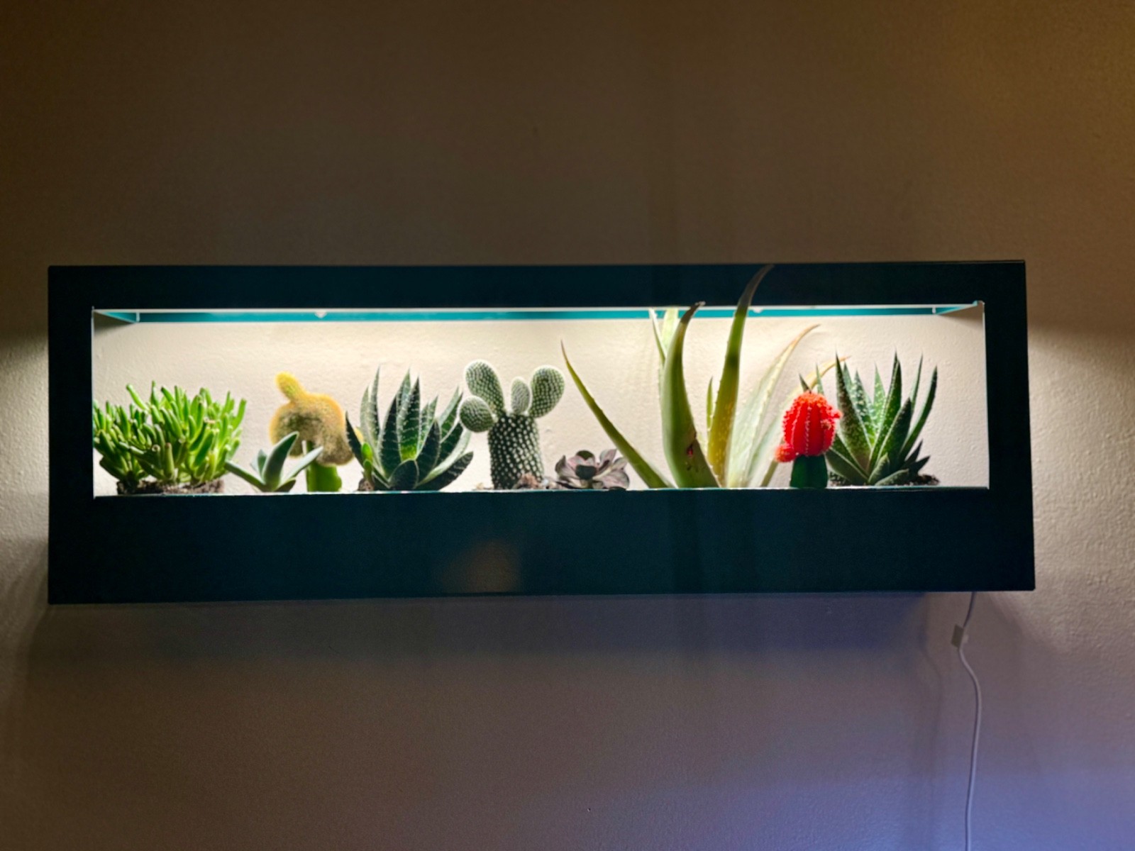 Smart LED Light Landscape Growframe - ModernSprout - New in Box- Matte Black gallery