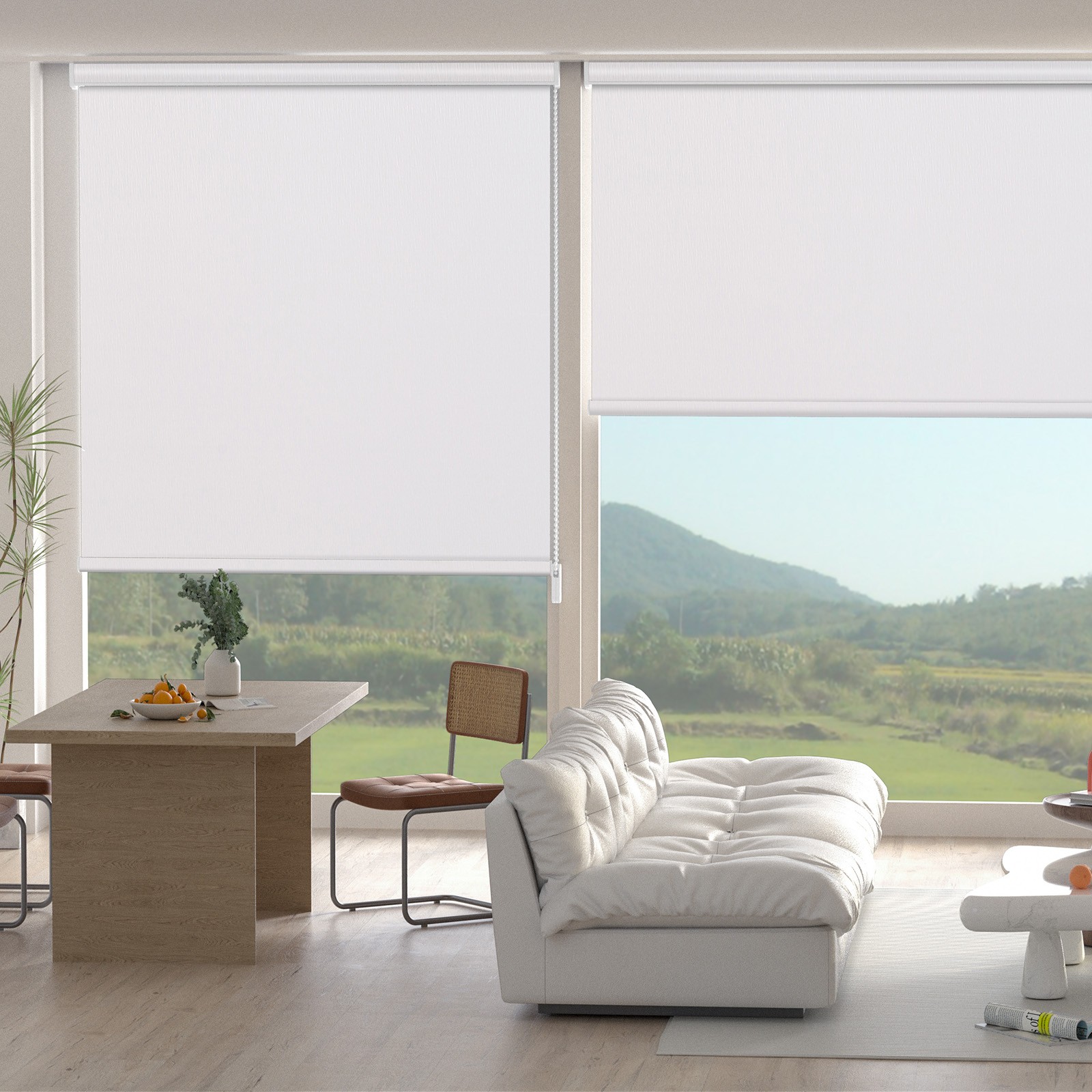 Changshade CUSTOM Light Filtering Roll-up Blinds Window Shades Roller Shades gallery
