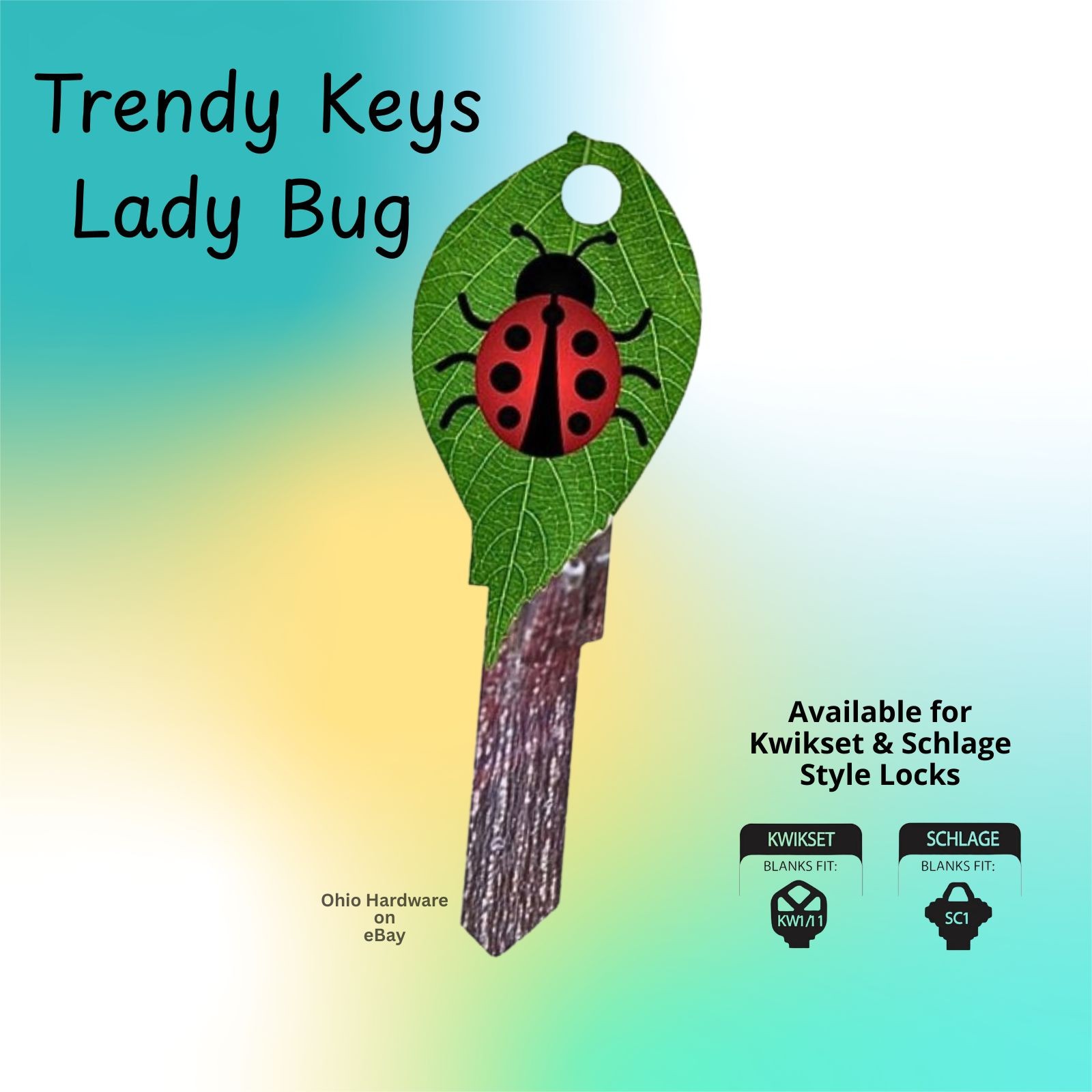 Trendy House Key Blanks – 30 Fun Designs Decorative Keys for Kwikset & Schlage gallery