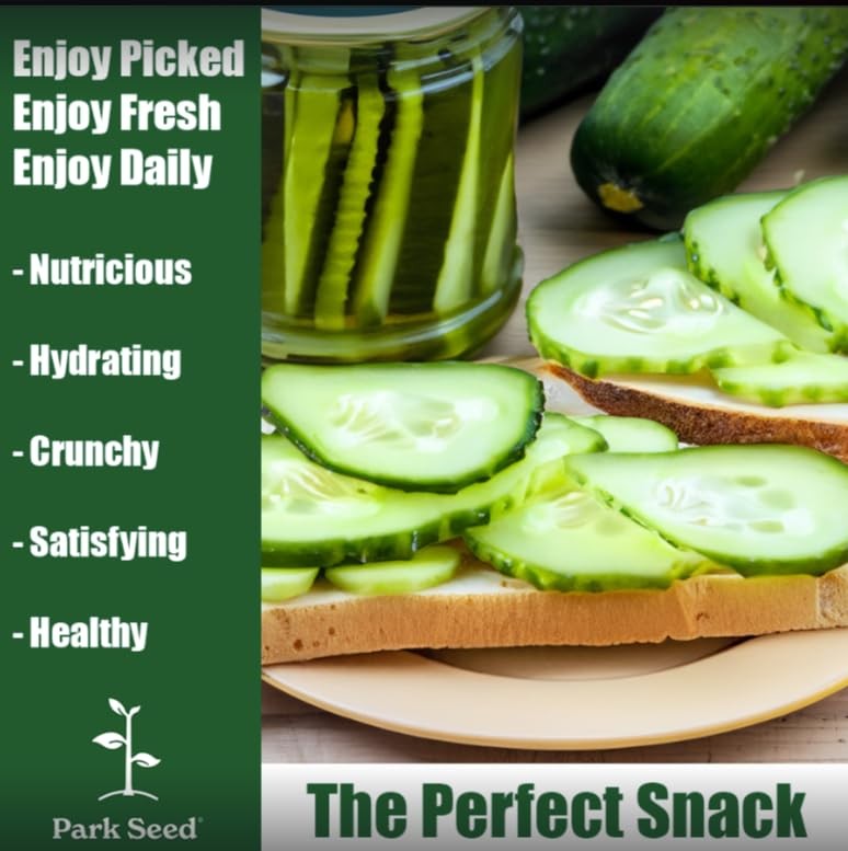 Cucumber Seeds NonGMO, Easy to Grow, Baby Hybrid, 10 Pack for Planting gallery