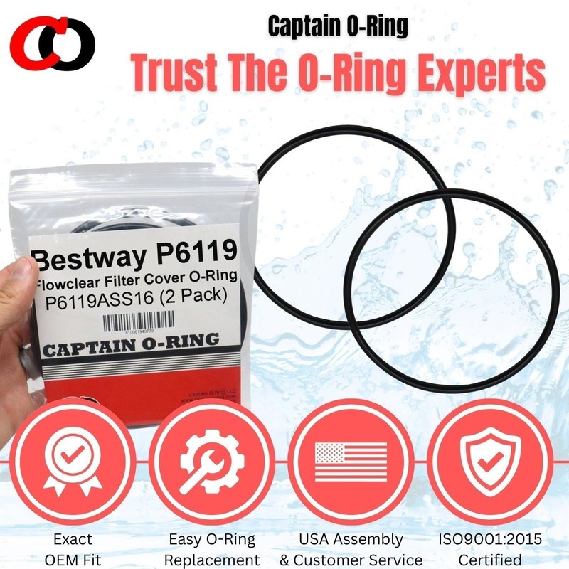 Captain O-Ring Replacement P6119 O-Ring for Bestway Flowclear Pump Filter Cap... gallery