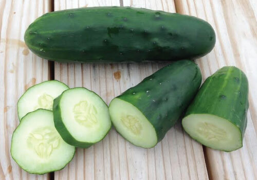 Marketmore Cucumber Seed, - NON GMO, A Regular Produce All Season gallery