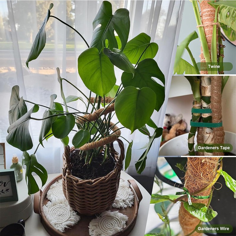 4 Pack Bendable Moss Pole 28" for Monstera Climbing Plants Support Stakes Stick gallery