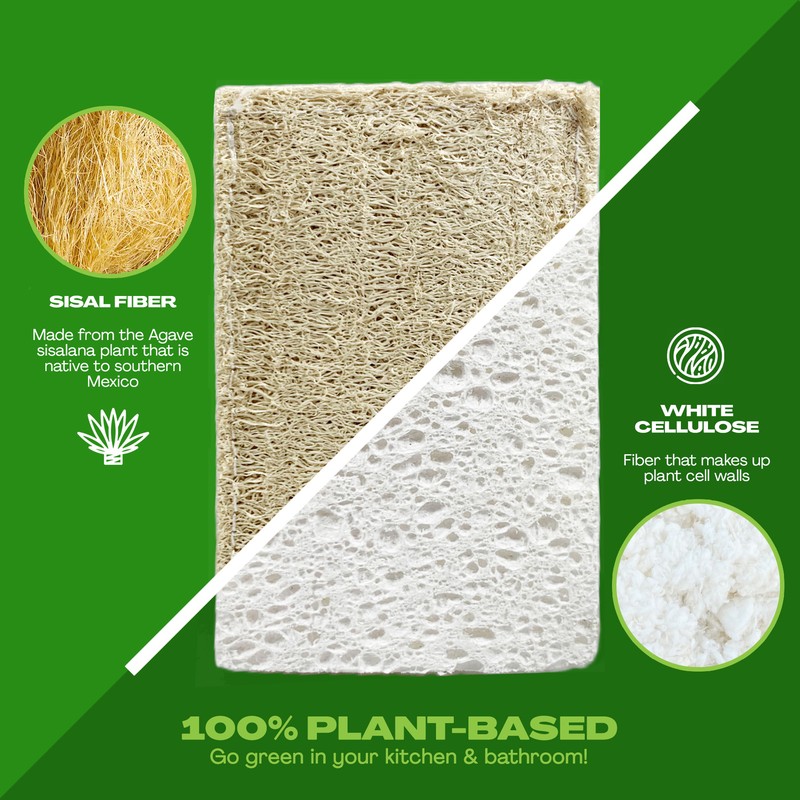 JuneLily Natural Eco Friendly Kitchen Sponge Non-Scratch Scrubber Compostable gallery