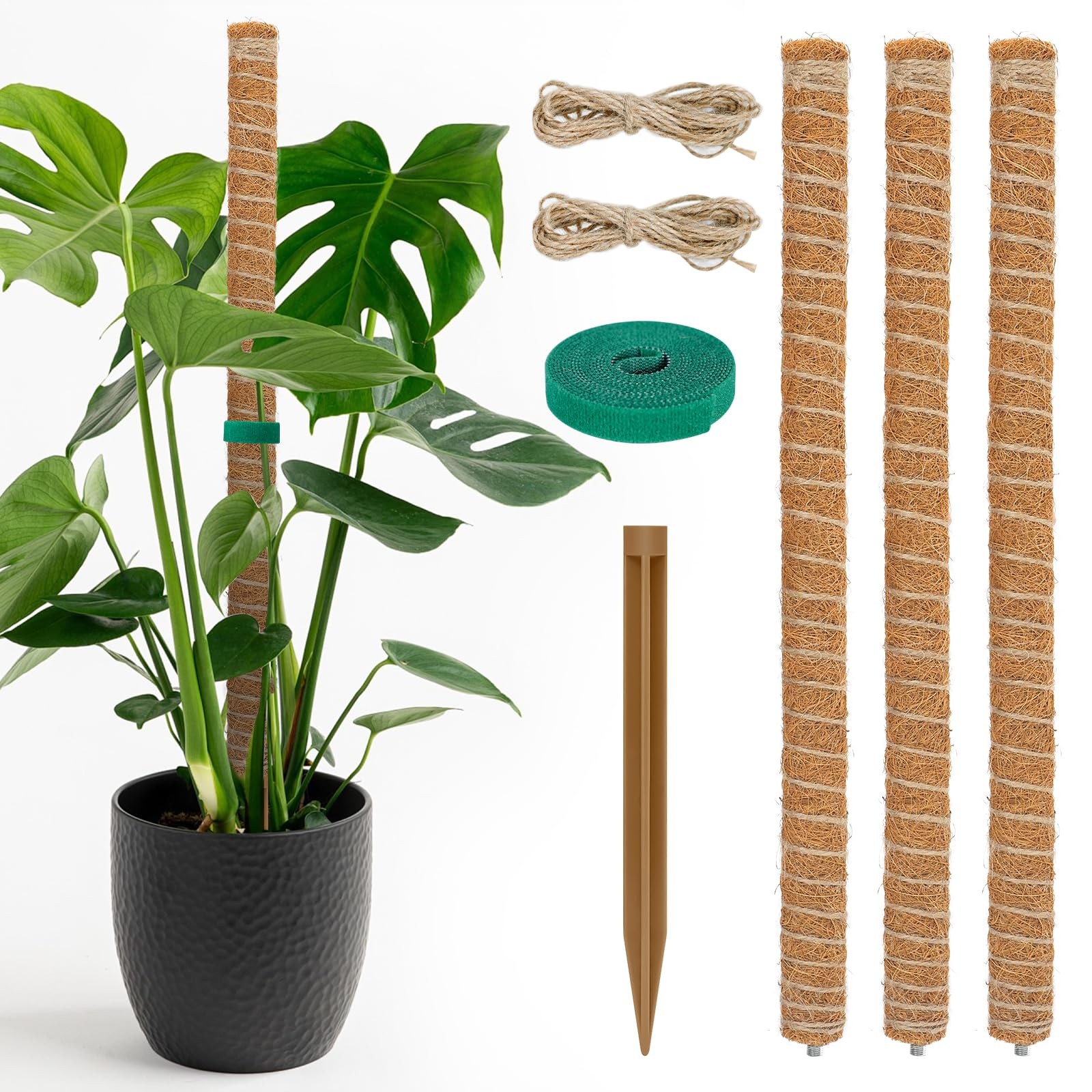 54 Inch Moss Pole, 3 Pack 16 Inch Moss Poles Monstera Plant Support, Moss gallery