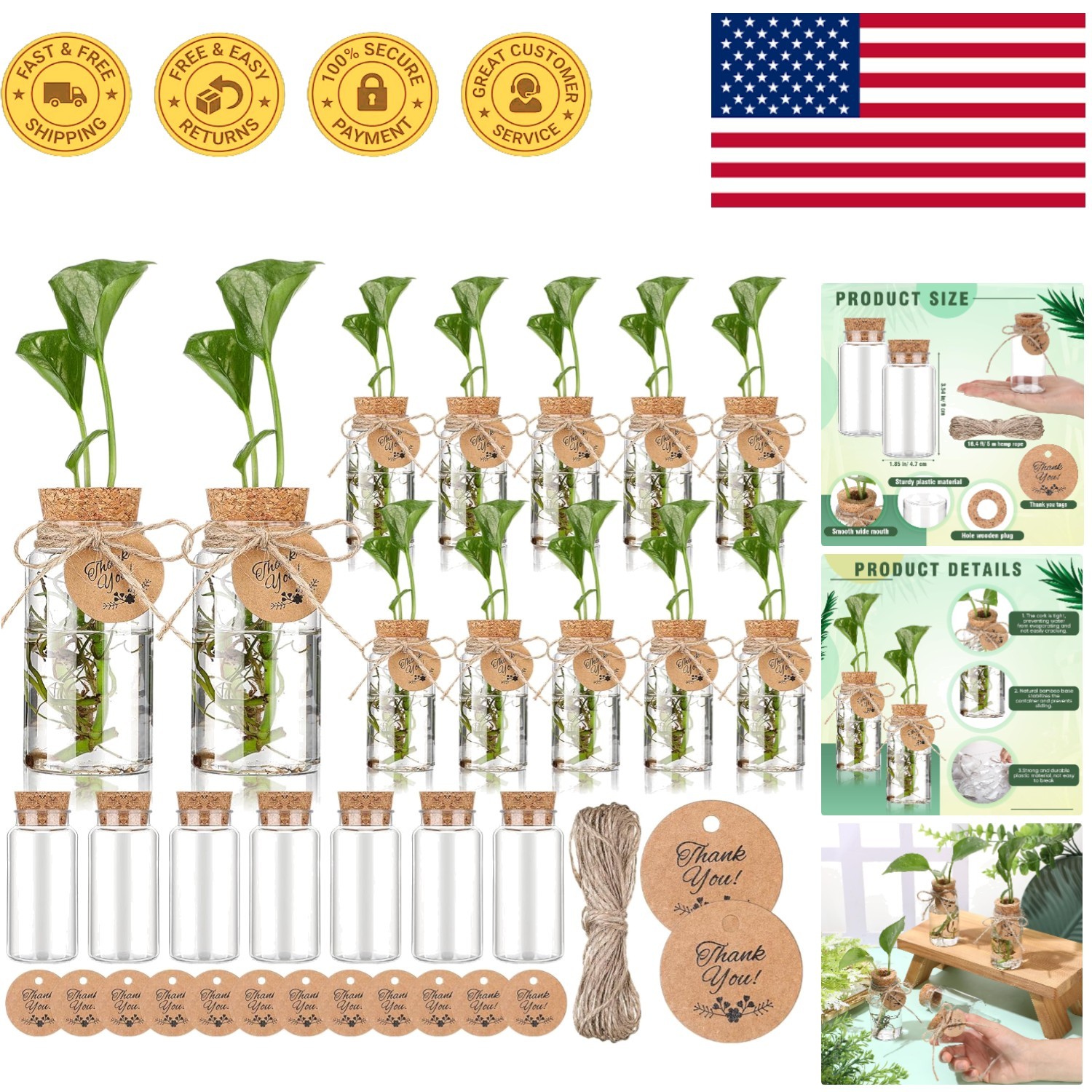 Transparent 24-Pack Plant Propagation Station Set - Ideal for Indoor Gardens gallery