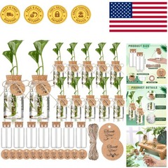 Transparent 24-Pack Plant Propagation Station Set – Ideal for Indoor Gardens