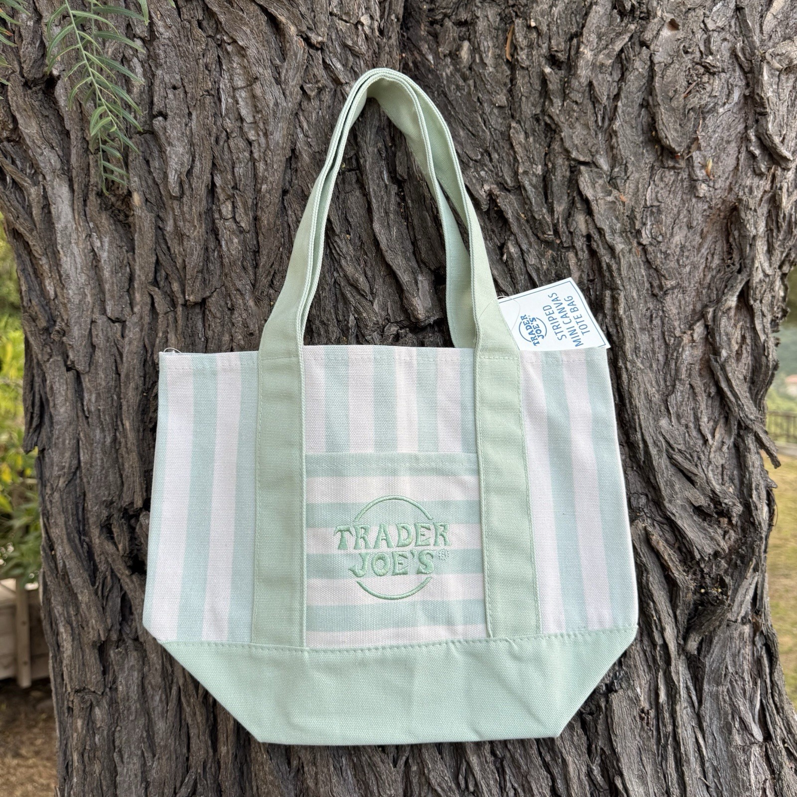 Trader Joe’s Striped Mini Canvas Tote Bag Pastel Green Summer 2026 Limited gallery