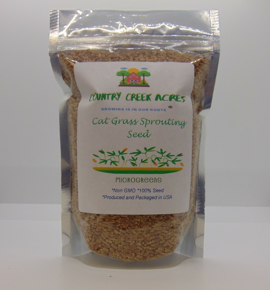 16 oz Cat Grass
