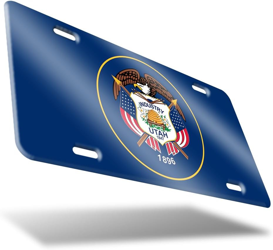 DMSE US State Flag License Plates 12" X 6" Inch - Durable Aluminum Tag for Cars gallery