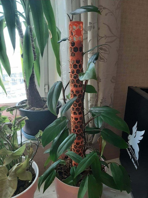 Stackable Vertical Moss Grow Pole Totem Aroids Indoor Climbing Plants Monstera gallery