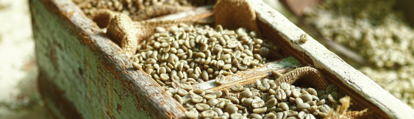 5 LBS PERUVIAN PERU UNROASTED DECAFFEINATED GREEN COFFEE BEANS - DECAF gallery