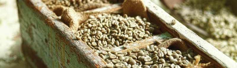 5 LBS PERUVIAN PERU UNROASTED DECAFFEINATED GREEN COFFEE BEANS - DECAF gallery