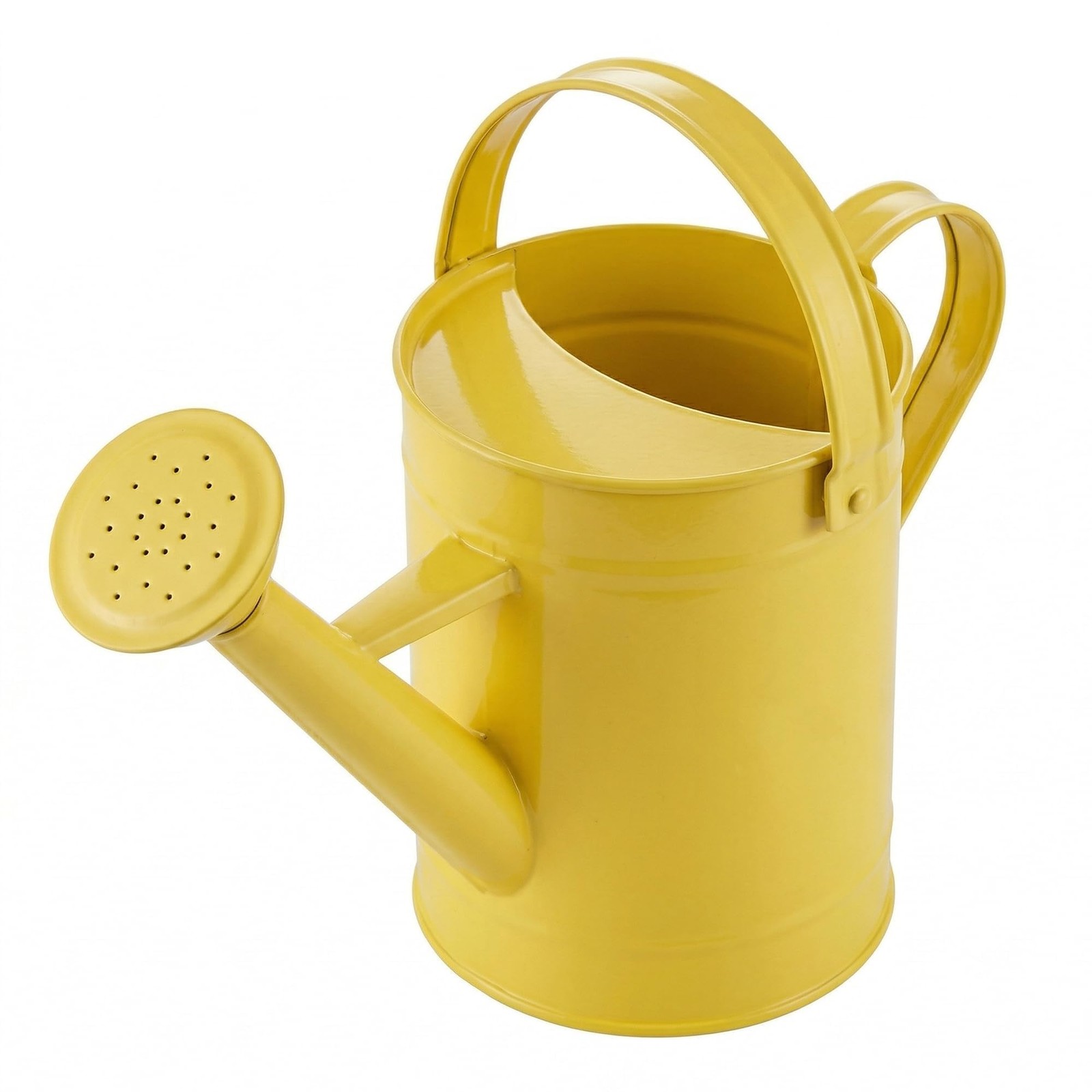 55 Oz Metal Watering Can with Removable Spout for Indoor & Outdoor Plants gallery