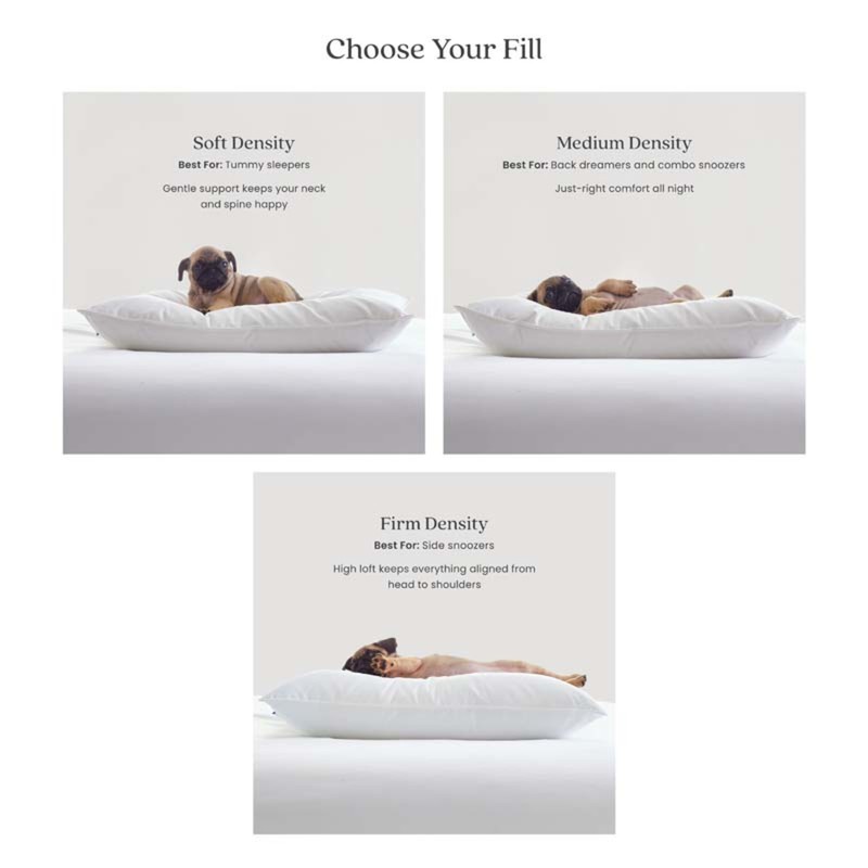 LoftAIRE Down Alternative Pillow - Soft, Standard... gallery