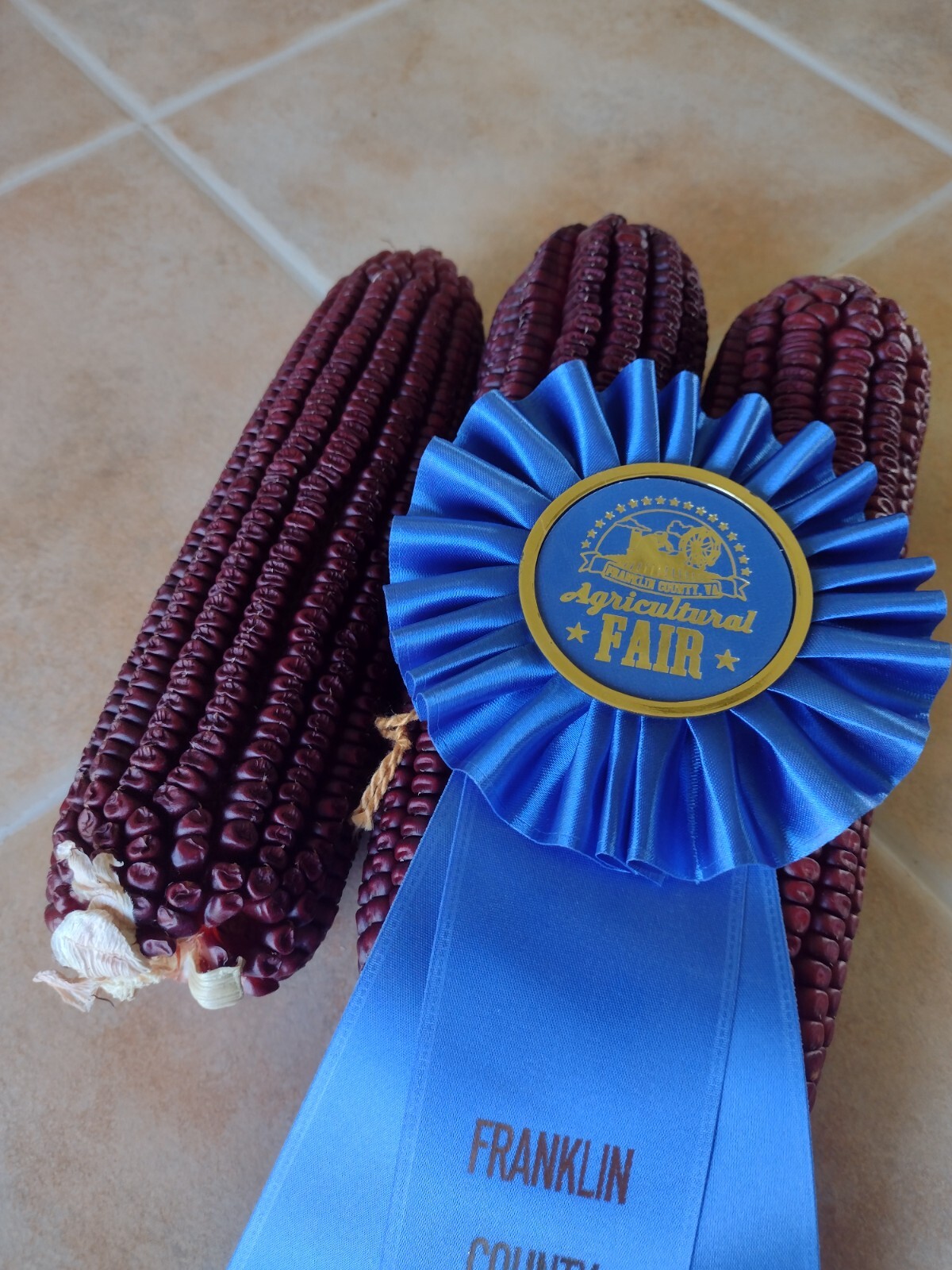 Jimmy Red Corn - Heirloom Dent Corn Seed or For Milling - 1 pound Avg 1,400 Seed gallery