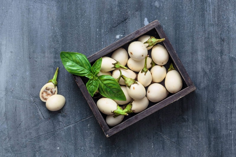 30 EASTER EGG PLANT Ornamental Easter Eggplant / Nest Egg Solanum Ovigerum Seeds gallery