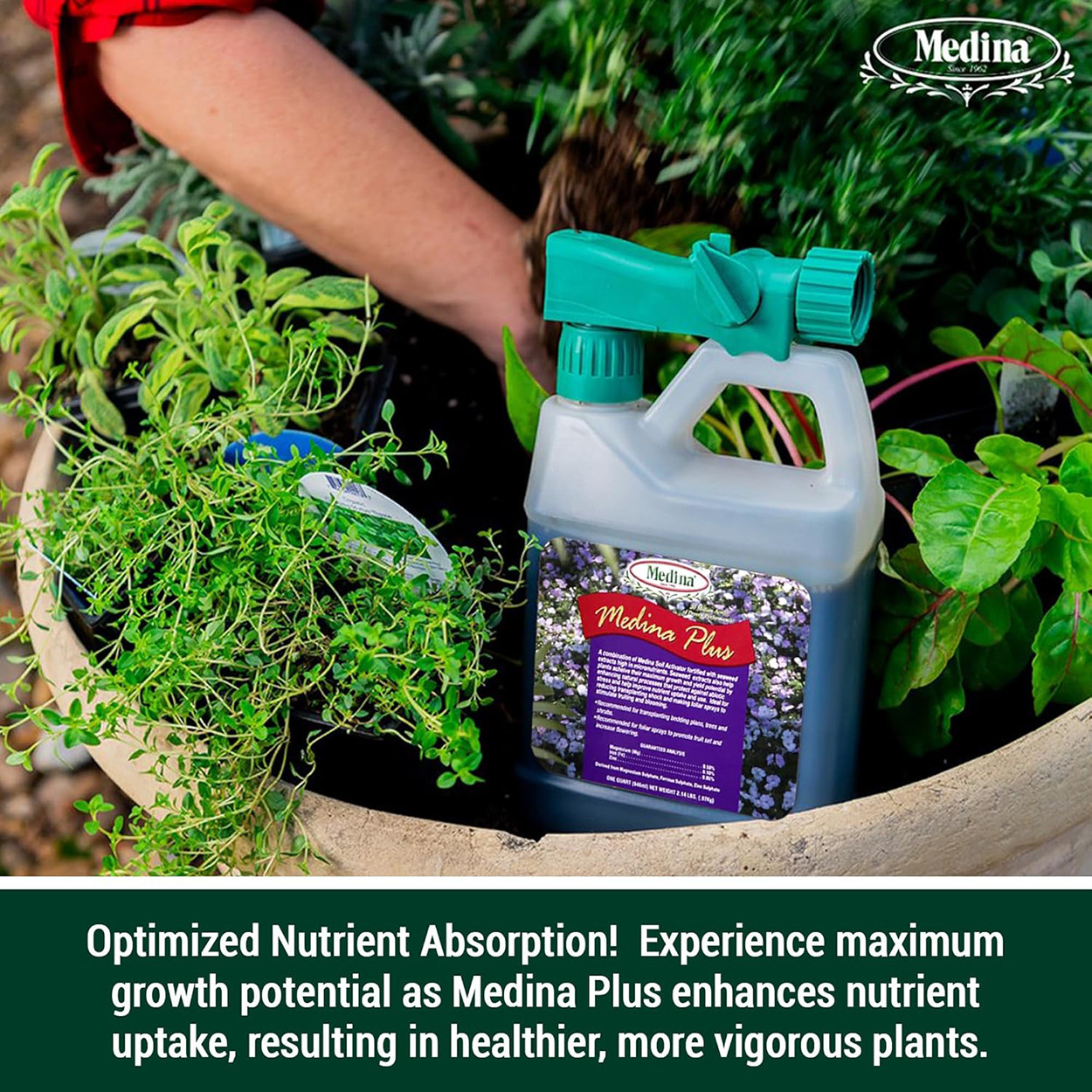 Medina Plus Liquid Fertilizer Stimulates Blooming Flowering Rooting 32 fl oz RTS gallery