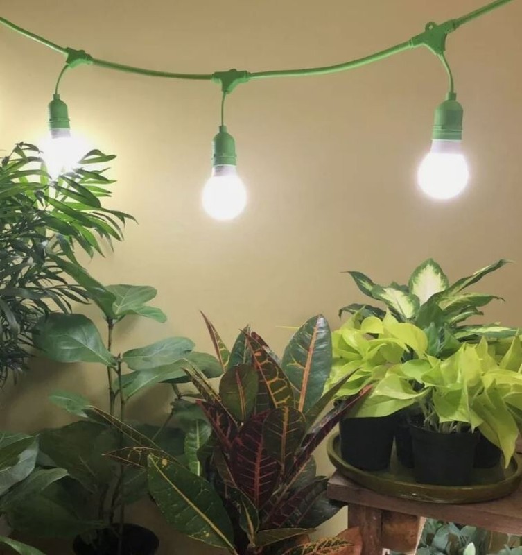 4FT Miracle LED 3 Light Socket Waterproof Plug Extension Cord Indoor Grow Garden gallery