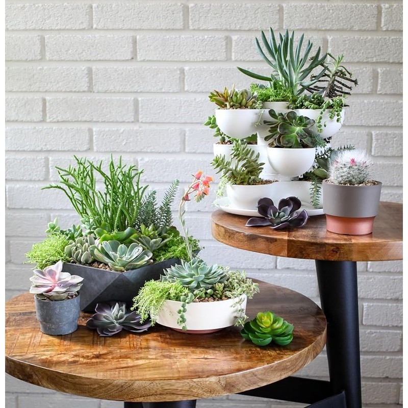 Durable Lightweight Succulent Planter W/ Drainage Hole Indoor Outdoor Plants New gallery