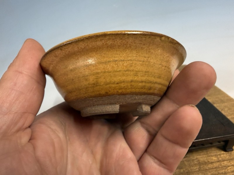 Japanese Unknown Maker Shohin Bonsai Tree Pot 3 1/2 By 1 1/4” Mustard Glaze gallery