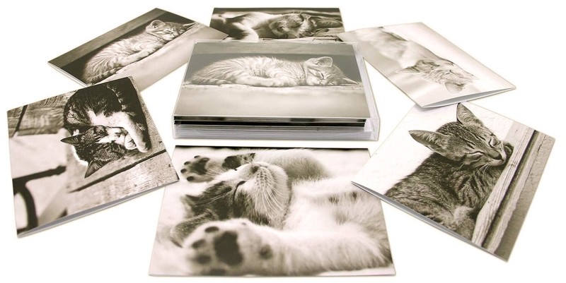 Sleeping Kittens Note Cards-Blank Inside-5.5"x4.25"-12 Pack gallery