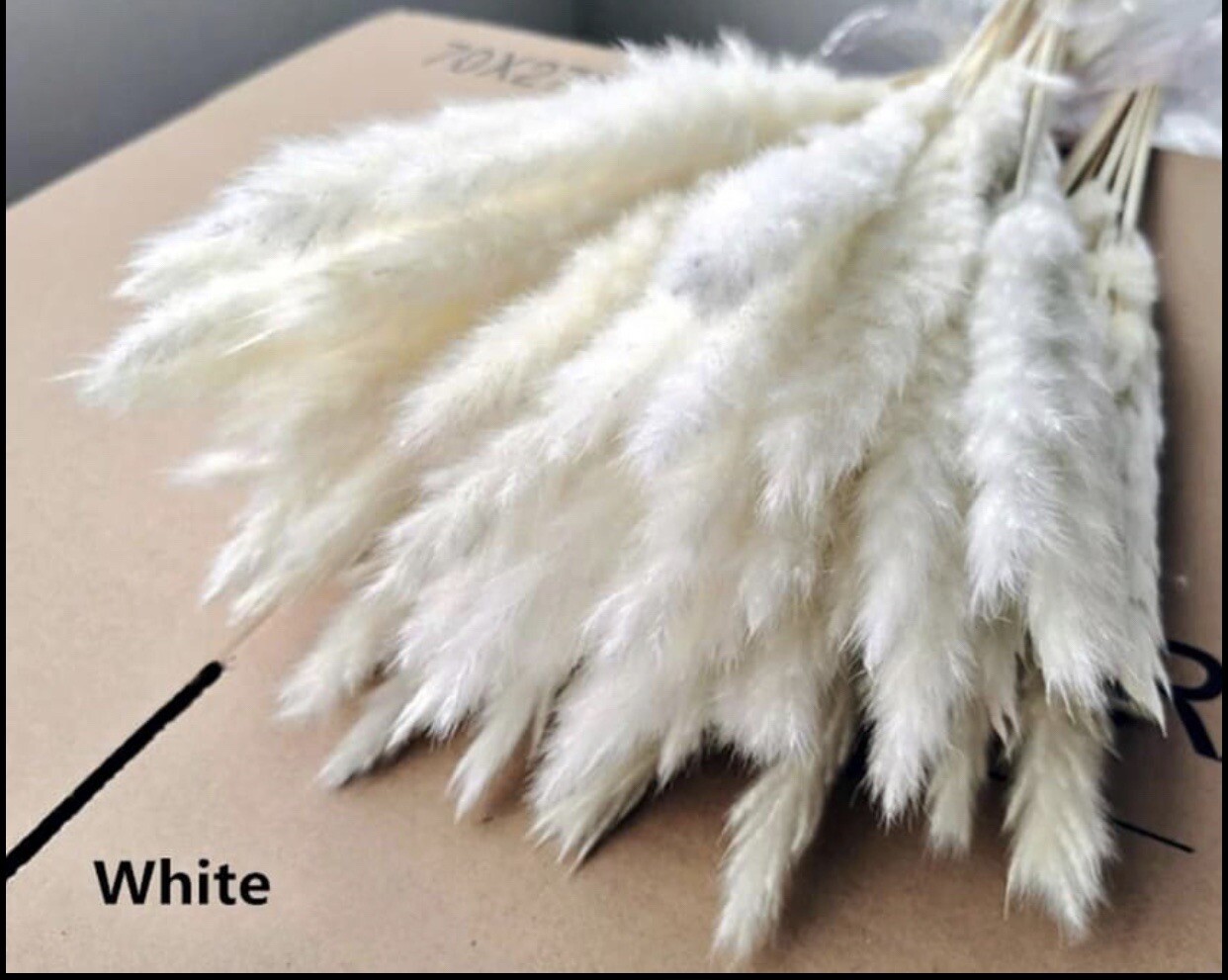 15PCS Natural Dried Pampas Grass 24 In. Reed Flower Wedding Bouquet Home Decors gallery
