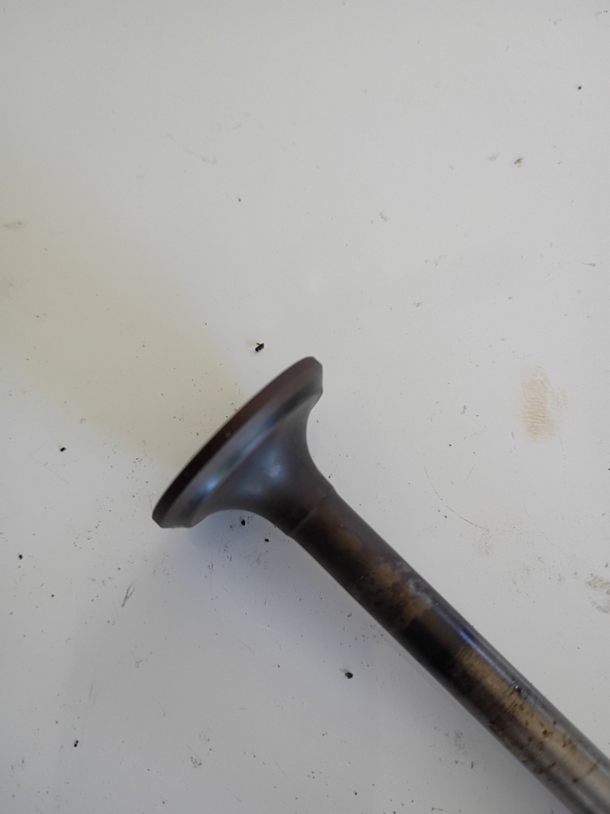 Kohler Engine Model M8ST Intake & Exhaust Valves, Springs, Caps 230027, 230008-S gallery