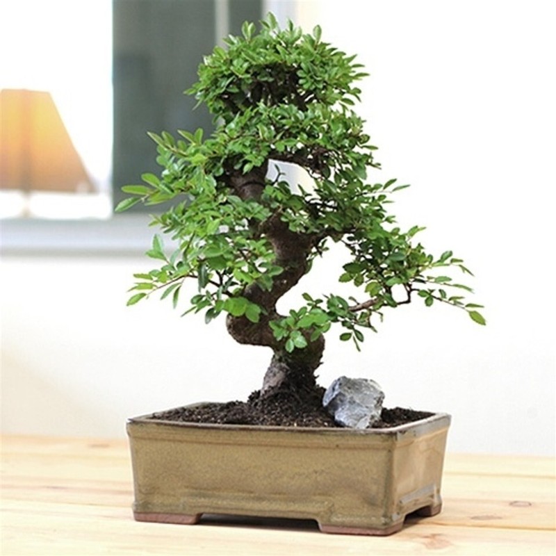 Turface Screened Professional Hydroponic Growth Media Potting Soil No Fines FAST gallery