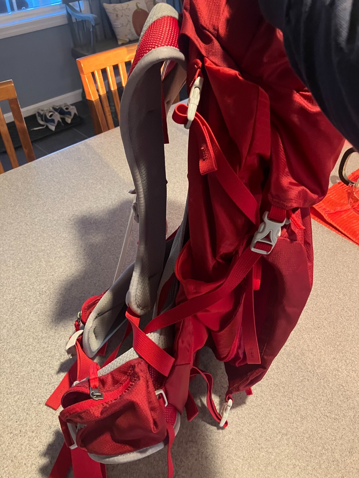 Gregory Z40 Backpack Red 26.76 Liter  4