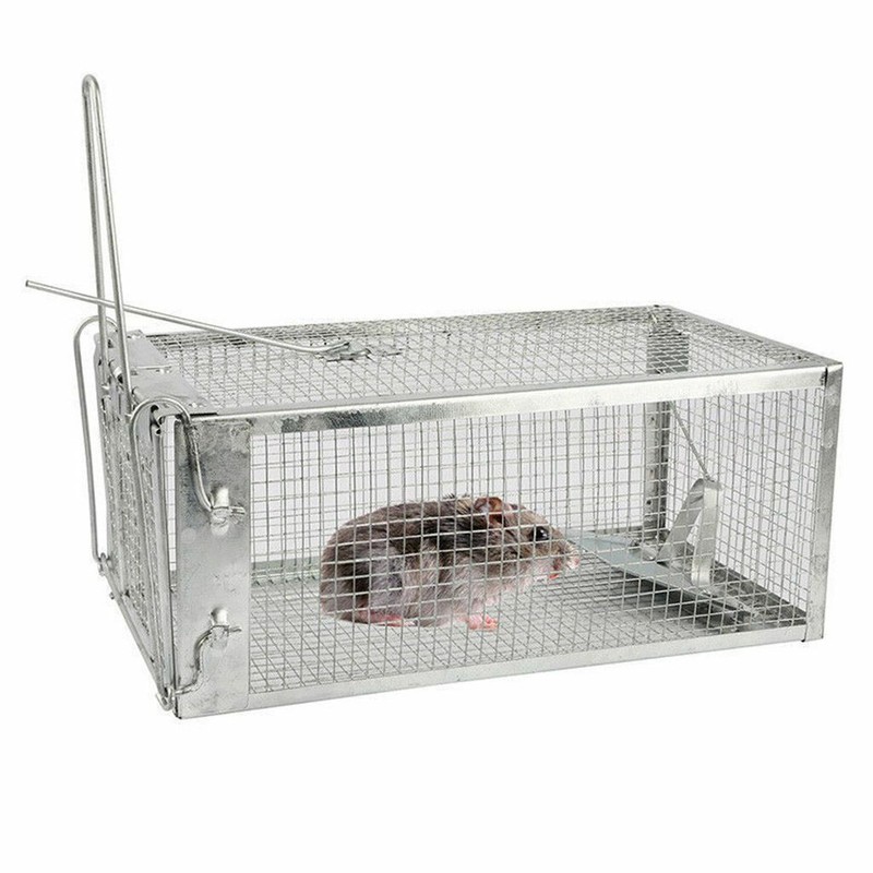 1-3x Live Humane Cage Trap For Squirrel Chipmunk Rat Mice Rodent Animal Catcher gallery
