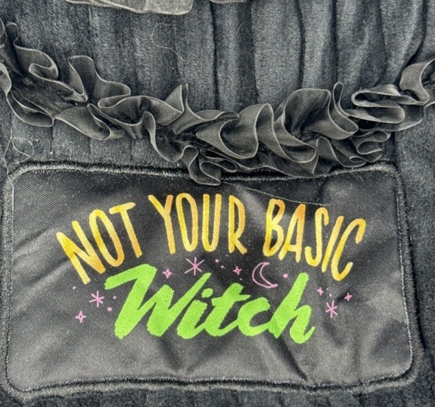NWT Wicked "Not Your Basic Witch" Black Witches Hat Plush Pillow Elphaba gallery