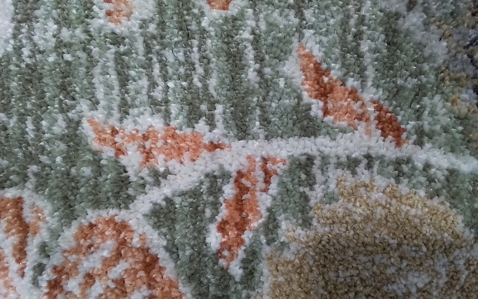 GREEN / IVORY 8'-0" x 10'-0" Back Stain Rug, Reduced Price 3172810149 GOV632Y-8 gallery