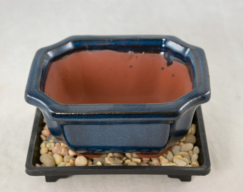 5" Rectangular Dark Blue Bonsai / Succulent Pot + Tray + Rock + Mesh Combo gallery