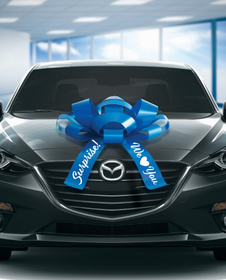 Extra Large Car Bow | Vinyl, Magnetic Back, No Scratch | Huge Car Bow | BIG BOW! gallery