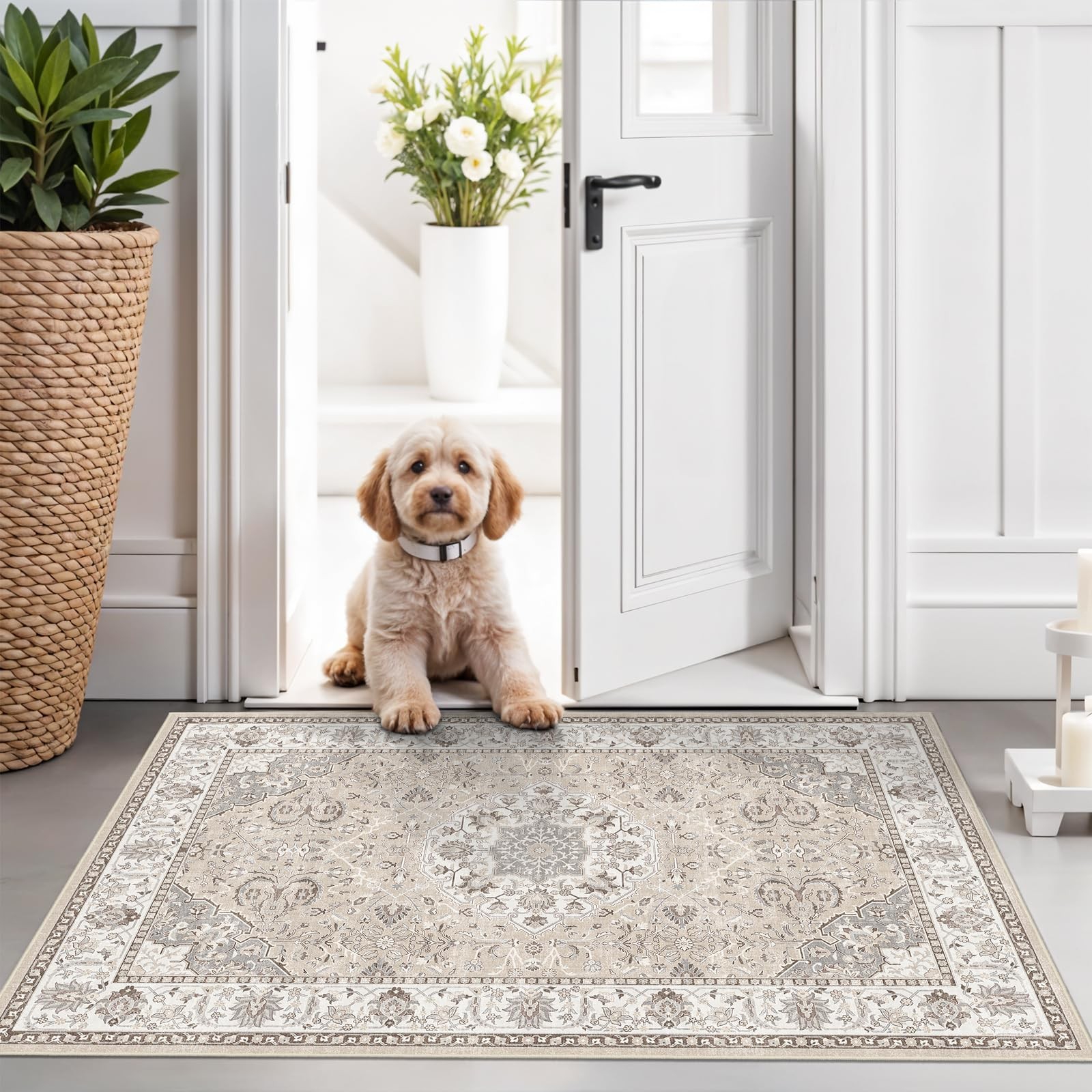 Washable 2x3 Entryway Area Rug - Neutral Kitchen 2' x 3' (Rectangular), Beige gallery