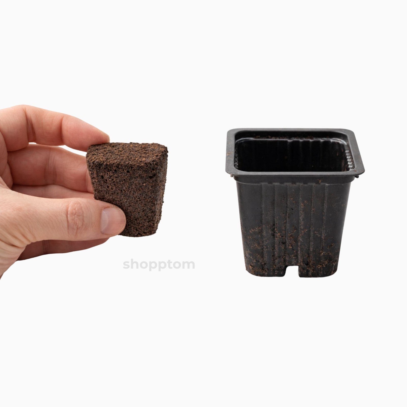 Root Riot Propagation Cubes for Cuttings & Seedlings | Pick Quantity gallery